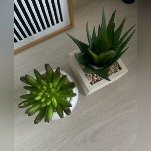 Set of 2, Natural Artificial Succulent Plant in white pot